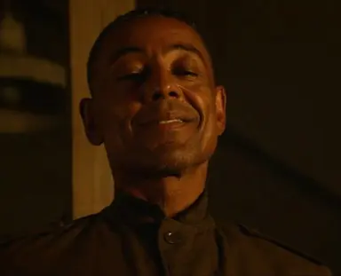 Profile image of Gustavo fring