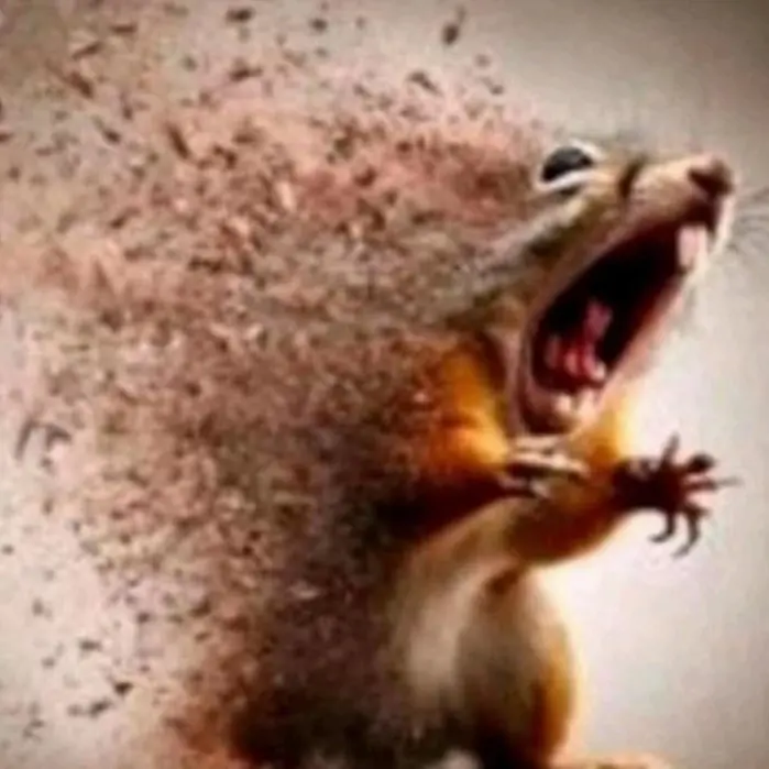 Koberipstill5rings의 Dreams That Bind Us