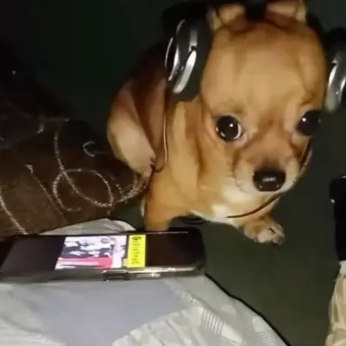 Profile image of Rowan