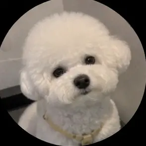 Profile image of 삐삐