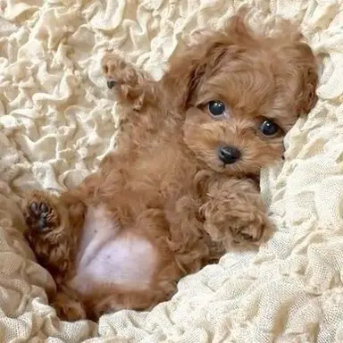 Profile image of 이동혁