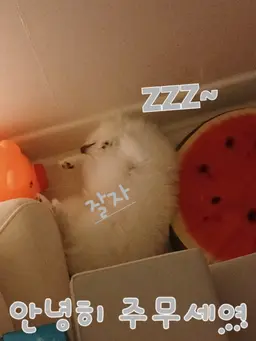 Profile image of 올리브 히긴슨