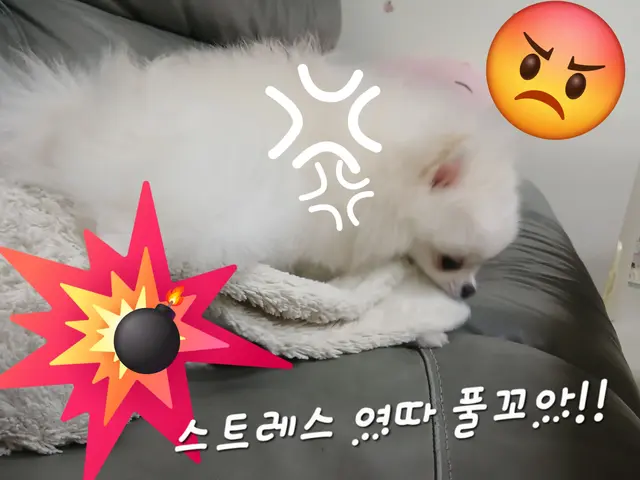 Profile image of 코코 그리말킨