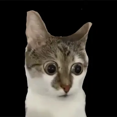 Profile image of 막내