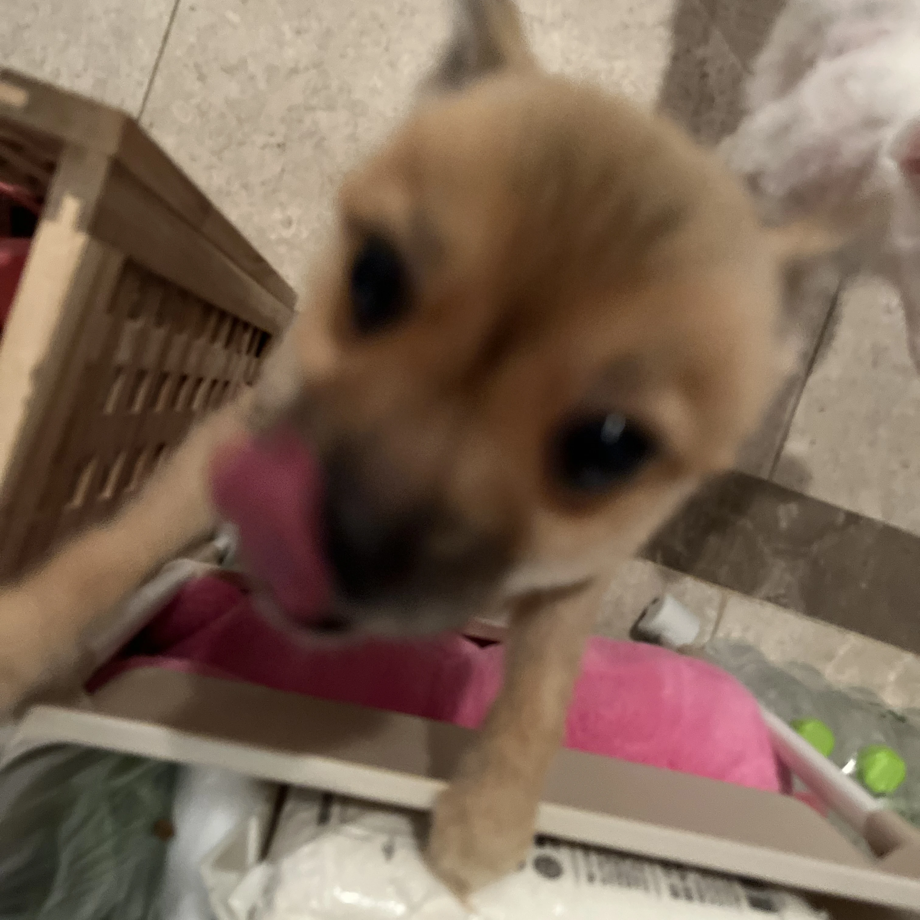 비리