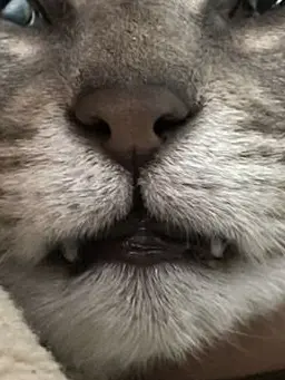 GrainyDrum1651의 私用