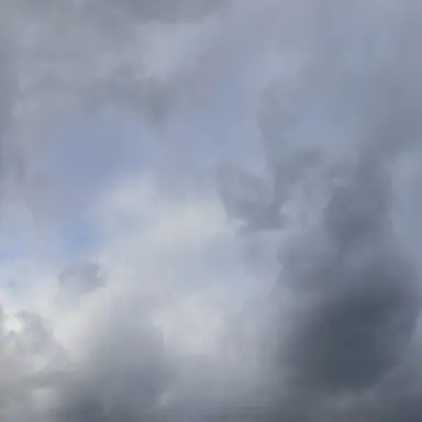 Profile image of 아이자와 쇼타