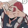 Profile image of Shoto Todoroki
