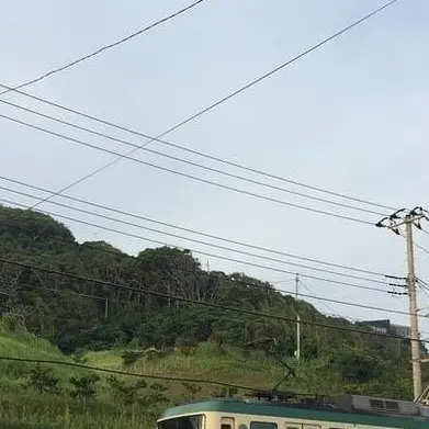 tobeosorigamtoo의 이 수