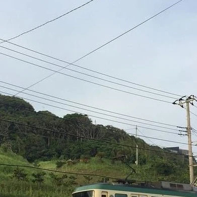 이 수