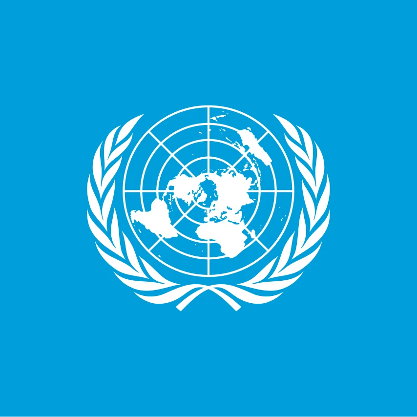 国際連合