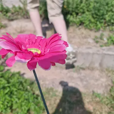 Profile image of 김수찬