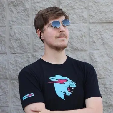 Profile image of MrBeast