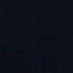 김동현
