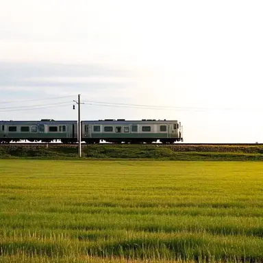 Profile image of Sogo