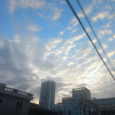 Profile image of 유진