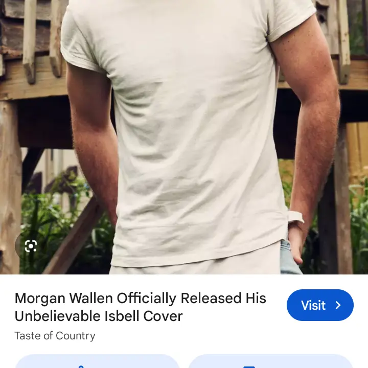 IronicTorch6023의 Morgan Wallen