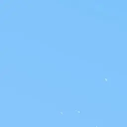 Profile image of 緋八マナ