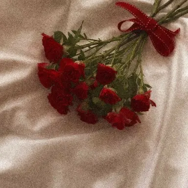 Profile image of 유기사