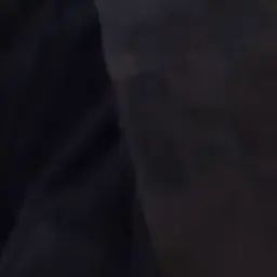 Profile image of 이찬영