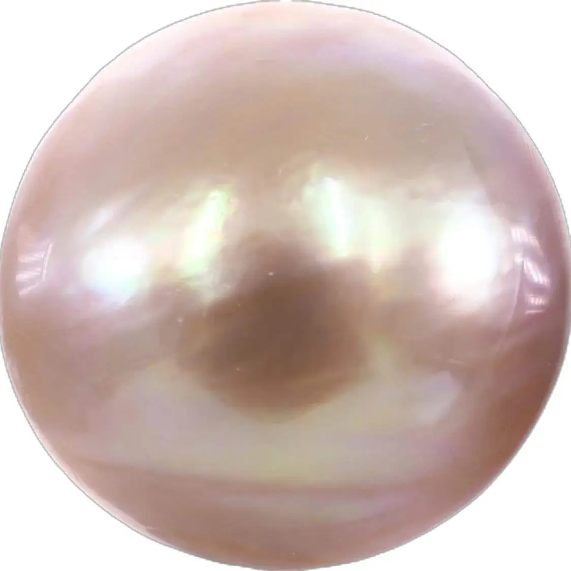 12060216의 一緒に暮らそ