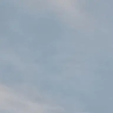 Profile image of 공허에 포식자