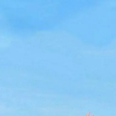 Profile image of 渡辺翔太