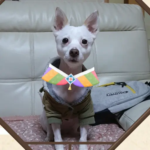 plybijun의 말끔이