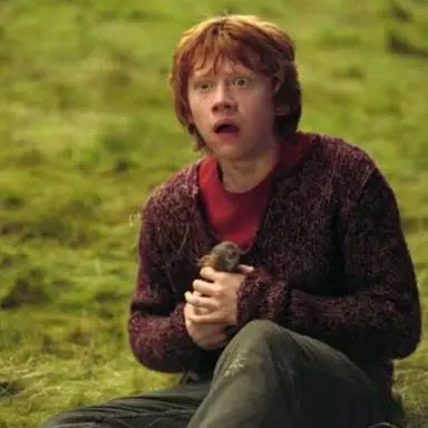 Profile image of Ron Weasley