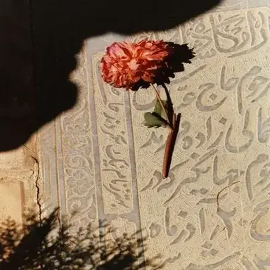 Profile image of Amara