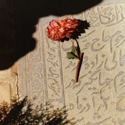 CaringPark5273의 Amara