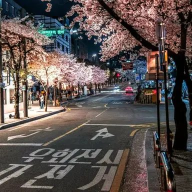 Profile image of Korean life
