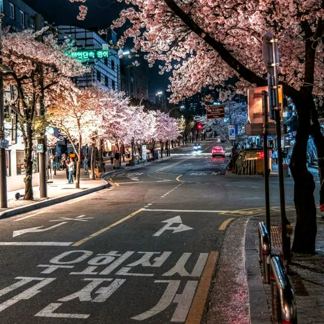 Miyalove의 Your korean life
