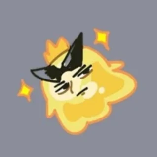 메타콘
