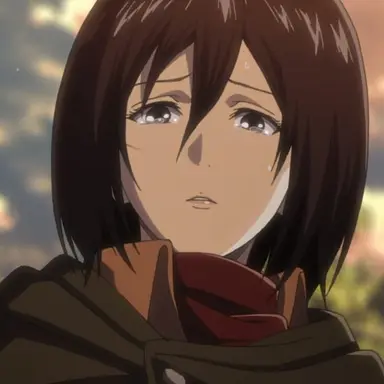 Profile image of 미카사