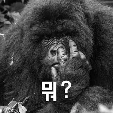 Profile image of 마키