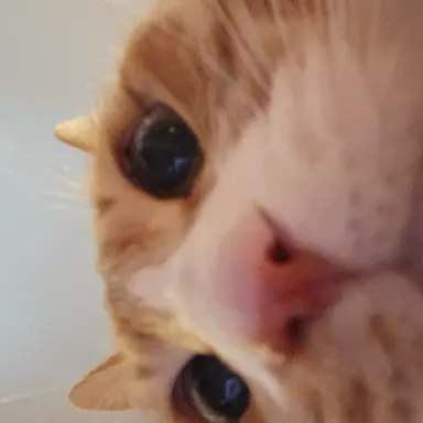 Profile image of 황현진. 이민호