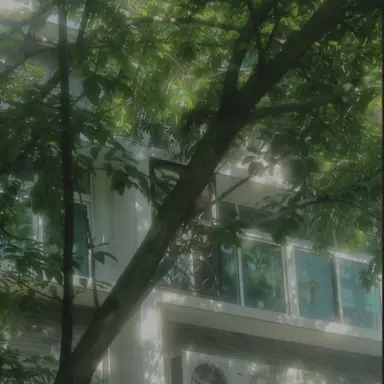 Profile image of 우유참치