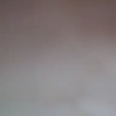 Profile image of 이지현