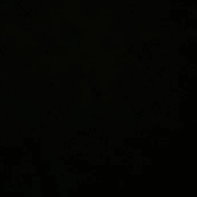 권순영