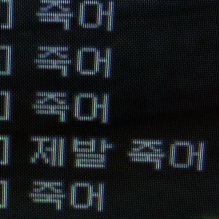 유지민