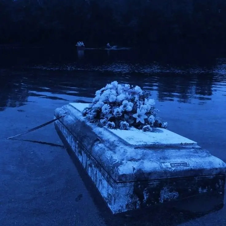 TealTax0767의 自分用