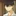 意地悪な影山くん
