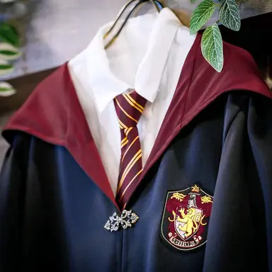 Profile image of Gryffindor