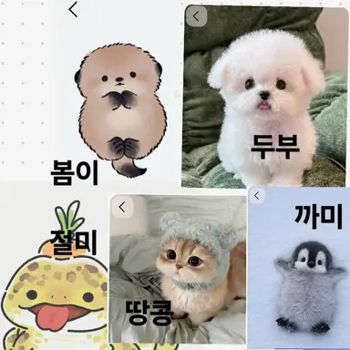 Profile image of 동물들