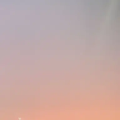 Profile image of 与謝野晶子