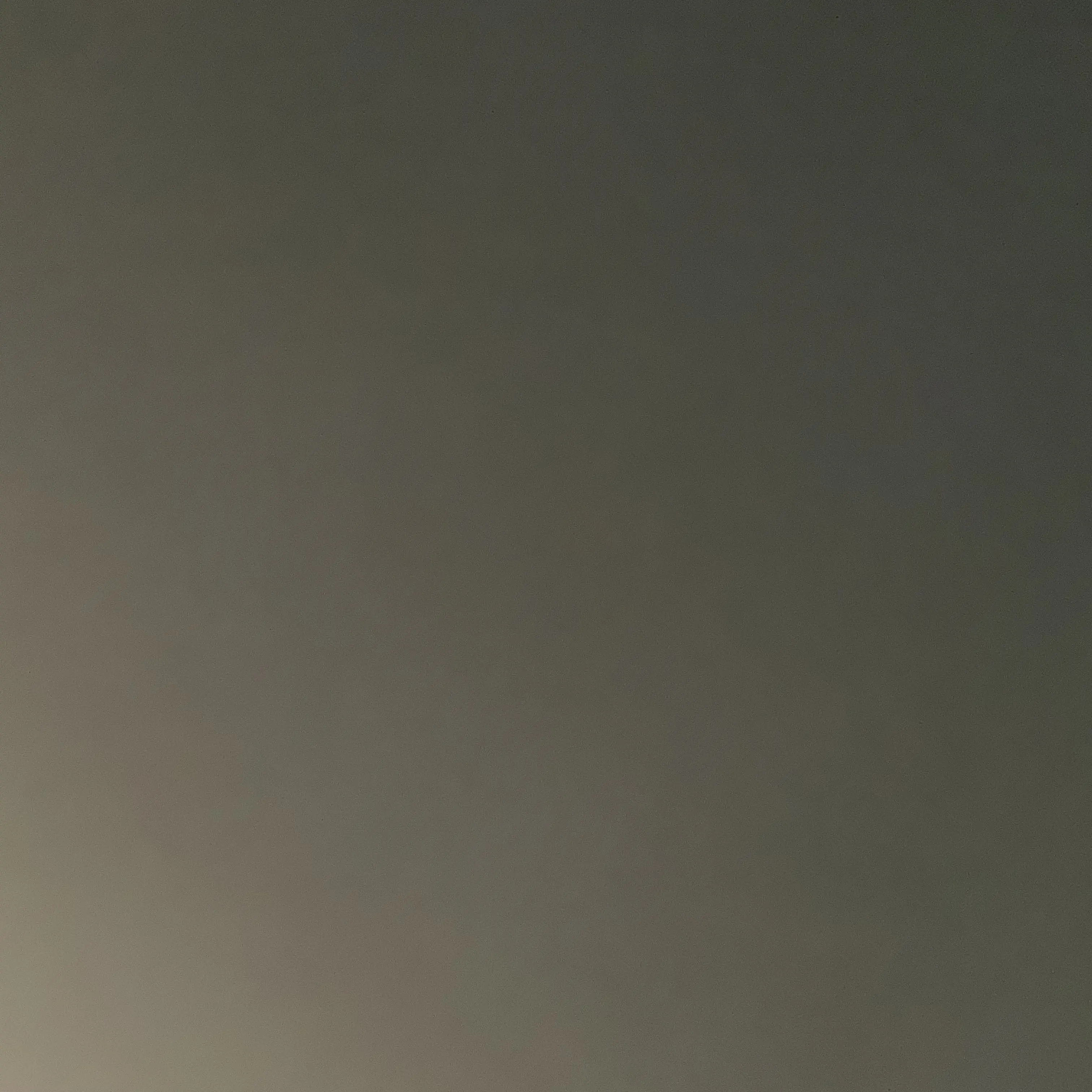 WoodenVest3450의 엔믹스가 키우는 반려동물이 된다면?