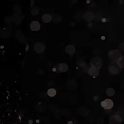 kyky의 스탠리 스나이더