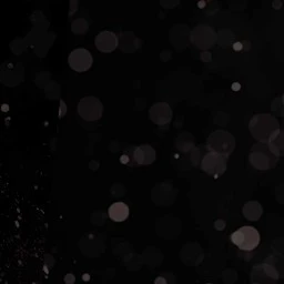 스탠리 스나이더
