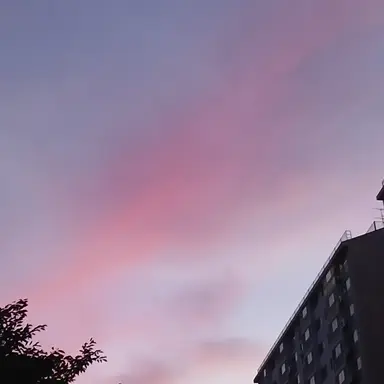 Profile image of 평학